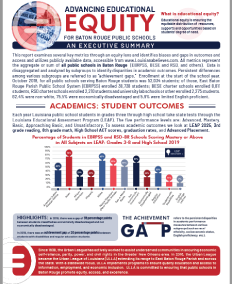 BR Equity Report Executive Summary 2019
